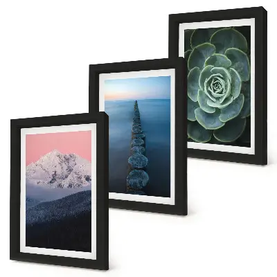 Mur de cadres montagnes au ciel rose avec eau et plantes succulentes vertes