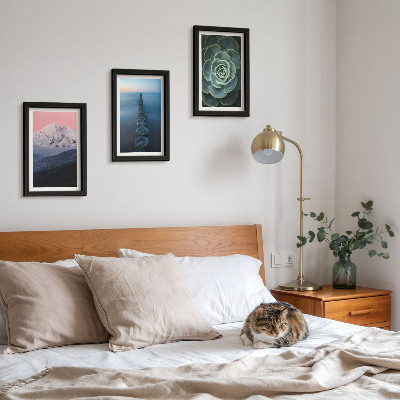 Mur de cadres Montagnes au ciel rose, eau et plantes succulentes vertes