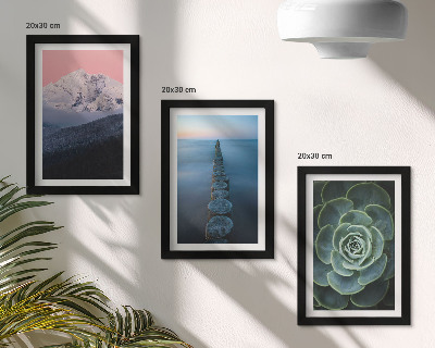 Mur de cadres Montagnes au ciel rose, eau et plantes succulentes vertes