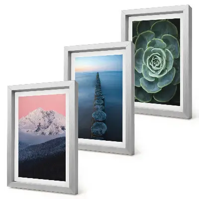 Mur de cadres montagnes au ciel rose avec eau et plantes succulentes vertes