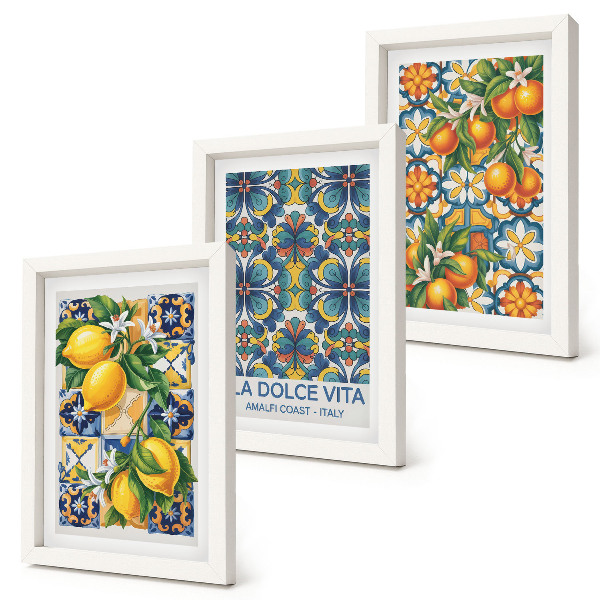 Ensemble de 3 tableaux Fleurs de citronnier et d'oranger aux motifs colorés