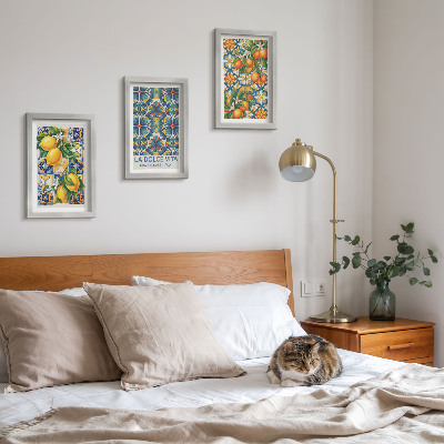 Ensemble de 3 tableaux Fleurs de citronnier et d'oranger aux motifs colorés