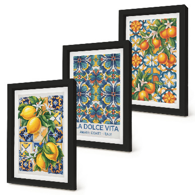 Ensemble de 3 tableaux Fleurs de citronnier et d'oranger aux motifs colorés