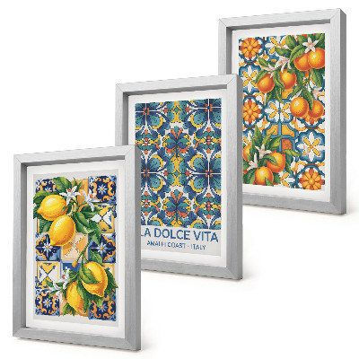 Ensemble de 3 tableaux Fleurs de citronnier et d'oranger aux motifs colorés