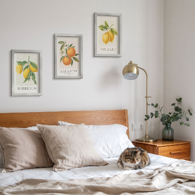 Mur de cadres Citrons et oranges de la côte amalfitaine italienne