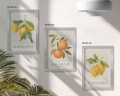 Mur de cadres Citrons et oranges de la côte amalfitaine italienne