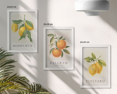 Mur de cadres Citrons et oranges de la côte amalfitaine italienne