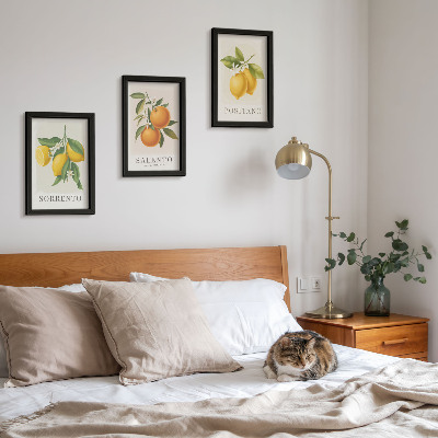 Mur de cadres Citrons et oranges de la côte amalfitaine italienne