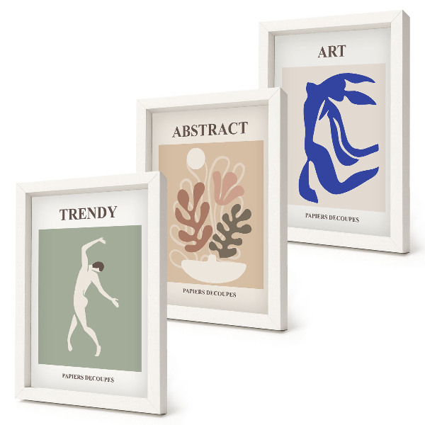 Ensemble de 3 tableaux Affiches élégantes de personnages et de plantes par Henri Matisse