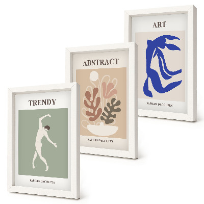 Ensemble de 3 tableaux Affiches élégantes de personnages et de plantes par Henri Matisse