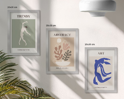Ensemble de 3 tableaux Affiches élégantes de personnages et de plantes par Henri Matisse
