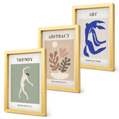 Ensemble de 3 tableaux Affiches élégantes de personnages et de plantes par Henri Matisse
