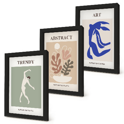 Ensemble de 3 tableaux Affiches élégantes de personnages et de plantes par Henri Matisse