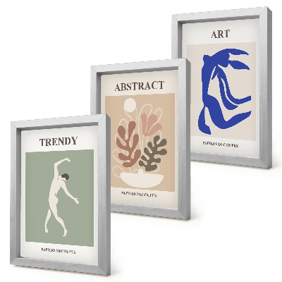 Ensemble de 3 tableaux Affiches élégantes de personnages et de plantes par Henri Matisse