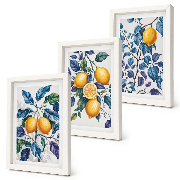 Lot de 3 tableaux Citronniers sur des branches aux feuilles bleues