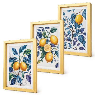 Lot de 3 tableaux Citronniers sur des branches aux feuilles bleues