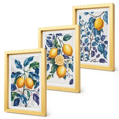 Lot de 3 tableaux représentant des citronniers sur des branches aux feuilles bleues