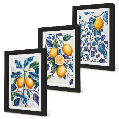 Lot de 3 tableaux Citronniers sur des branches aux feuilles bleues