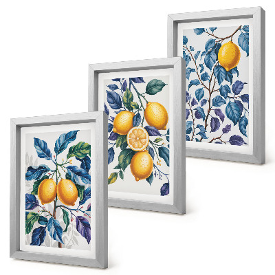 Lot de 3 tableaux Citronniers sur des branches aux feuilles bleues