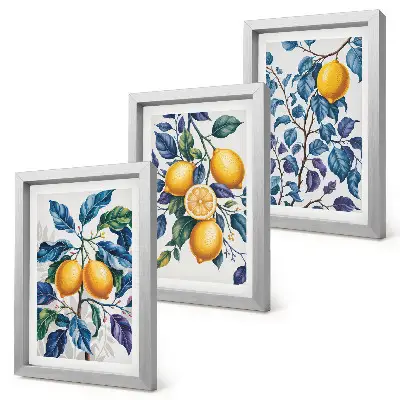 Lot de 3 tableaux représentant des citronniers sur des branches aux feuilles bleues