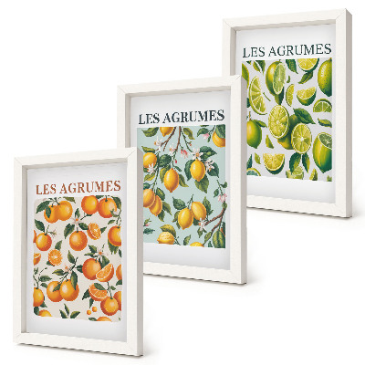 Mur de cadres Motifs d'agrumes fruités aux couleurs pastel