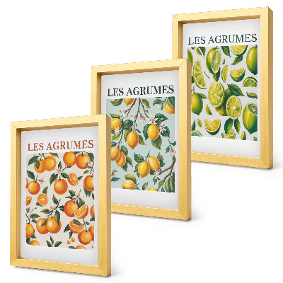 Mur de cadres Motifs d'agrumes fruités aux couleurs pastel