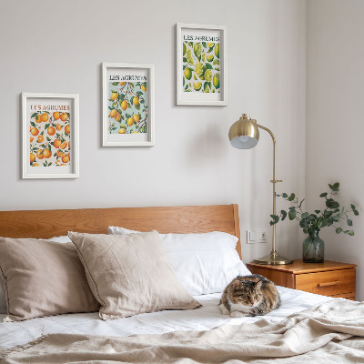 Mur de cadres Motifs d'agrumes fruités aux couleurs pastel