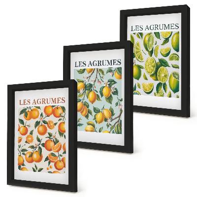 Mur de cadres Motifs d'agrumes fruités aux couleurs pastel