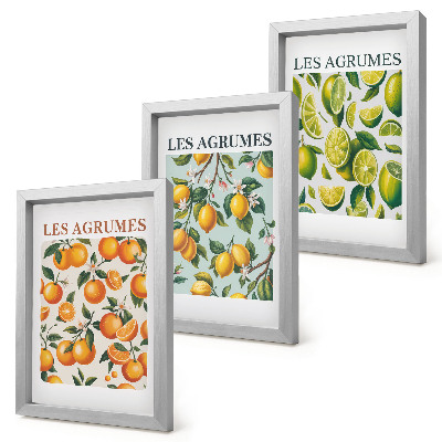 Mur de cadres Motifs d'agrumes fruités aux couleurs pastel