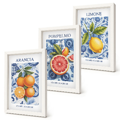 Ensemble de 3 tableaux Illustrations d'agrumes vintage