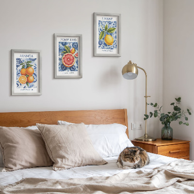 Ensemble de 3 tableaux Illustrations d'agrumes vintage