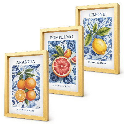 Ensemble de 3 tableaux Illustrations d'agrumes vintage