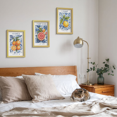 Ensemble de 3 tableaux Illustrations d'agrumes vintage