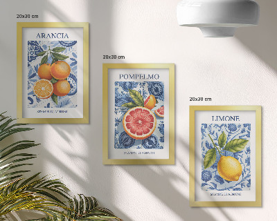 Ensemble de 3 tableaux Illustrations d'agrumes vintage