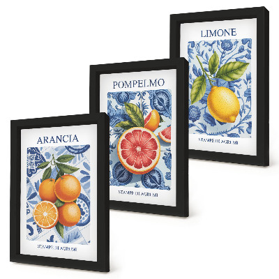Ensemble de 3 tableaux Illustrations d'agrumes vintage