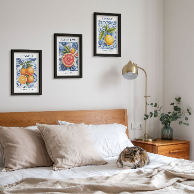 Ensemble de 3 tableaux Illustrations d'agrumes vintage