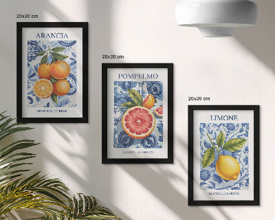 Ensemble de 3 tableaux Illustrations d'agrumes vintage