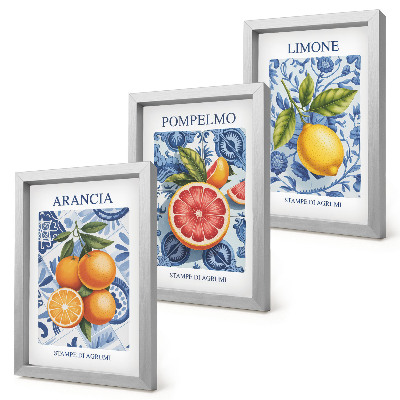 Ensemble de 3 tableaux Illustrations d'agrumes vintage