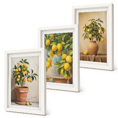 Lot de 3 tableaux Citronniers en pots et en vases