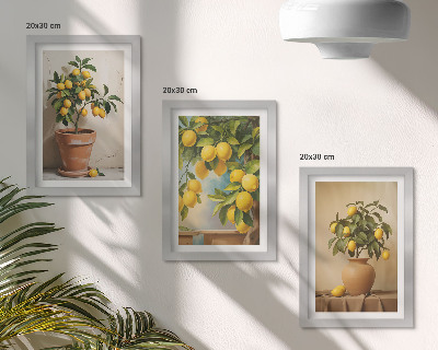 Lot de 3 tableaux Citronniers en pots et en vases