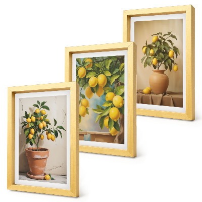 Lot de 3 tableaux Citronniers en pots et en vases