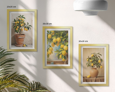 Lot de 3 tableaux Citronniers en pots et en vases