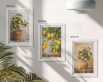 Lot de 3 tableaux Citronniers en pots et en vases
