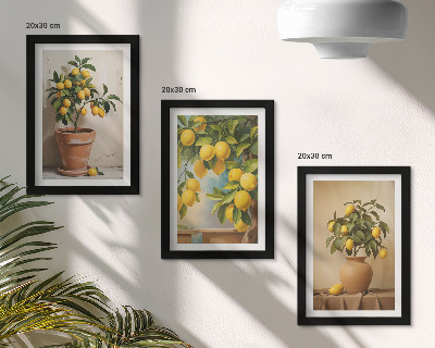 Lot de 3 tableaux Citronniers en pots et en vases
