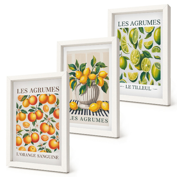 Ensemble de 3 tableaux Agrumes dans diverses versions colorées et fraîches