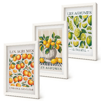 Ensemble de 3 tableaux Agrumes dans diverses versions colorées et fraîches