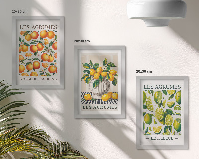Ensemble de 3 tableaux Agrumes dans diverses versions colorées et fraîches