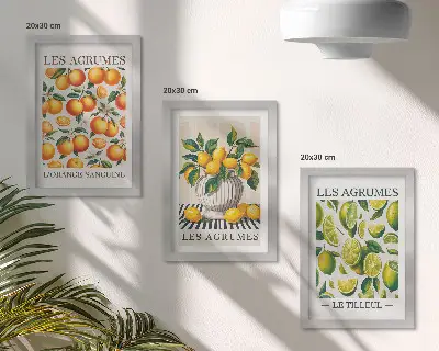 Ensemble de 3 tableaux motifs d'agrumes aux coloris frais et variés