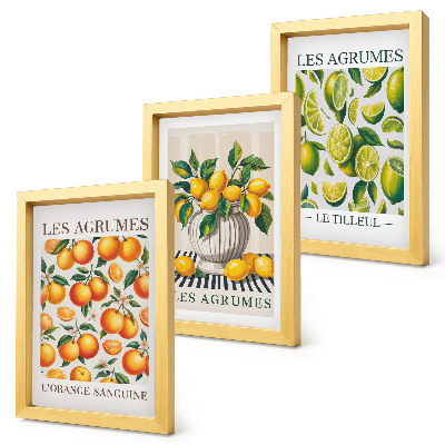 Ensemble de 3 tableaux Agrumes dans diverses versions colorées et fraîches