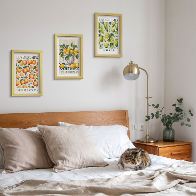 Ensemble de 3 tableaux Agrumes dans diverses versions colorées et fraîches